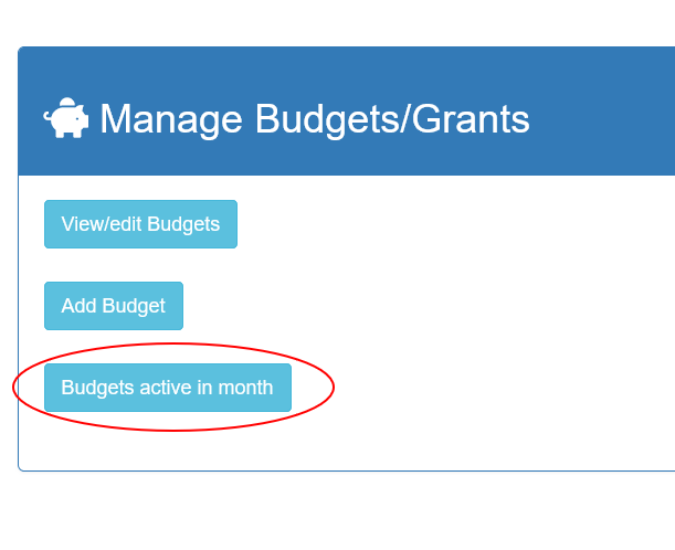 budgets active month